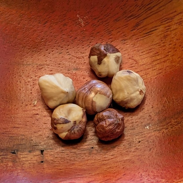Marion hazelnut kernels after blanching