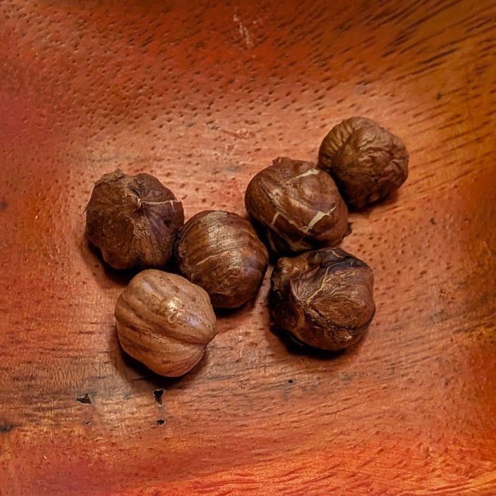 Marion hazelnut kernels before blanching